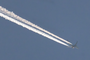 F-HZUO